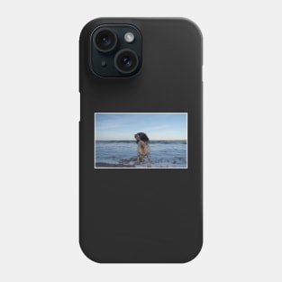 English Springer Spaniel Phone Case