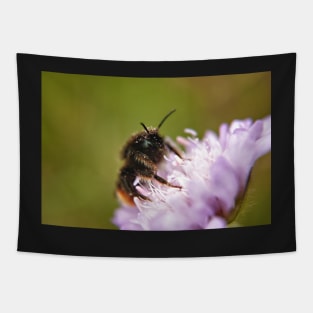 Pollen Covered Bee macro Tapestry