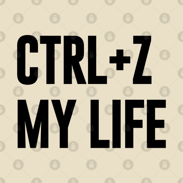 Ctrl+ Z My Life funny typography by NomiCrafts