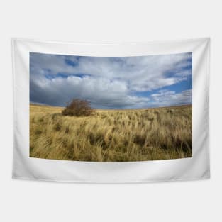 Northumberland Skies Tapestry