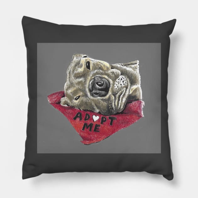 Bayle Pillow by Dr. Mary
