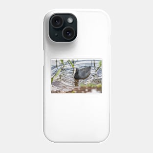 Hawaiian coot of Honolulu Phone Case