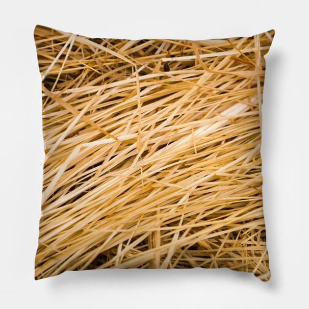 Dried yellow grass Pillow by textural