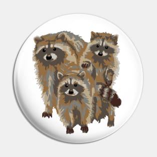 Raccoon Trio Pin