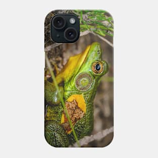 Big Ol' Green Frog Photograph Phone Case