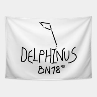 Delphinus Constellation by BN18 Tapestry