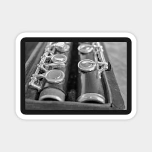 Traditional wooden flute in case Magnet