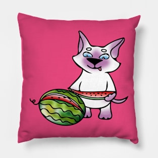 Watermelon Pillow