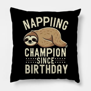 Napping champion since birthday Pillow