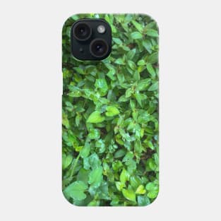Grass (Small leaf spiderwort) texture background Phone Case