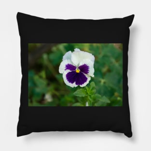 Field flowers. Spring day Pillow