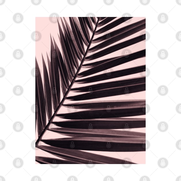 Palm leaf print, nostalgic photography, nature photo by KINKDesign