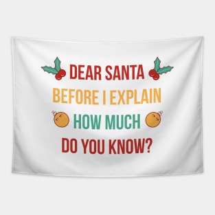 DEAR SANTA BEFORE I EXPLAIN HOW MUCH DO YOU KNOW Tapestry