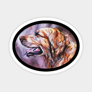 Golden Retriever Head Study Magnet