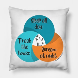 Venn Diagram Cats Sleep all day Trash the house Scream at night Pillow