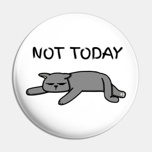 Not Today Cat Pin