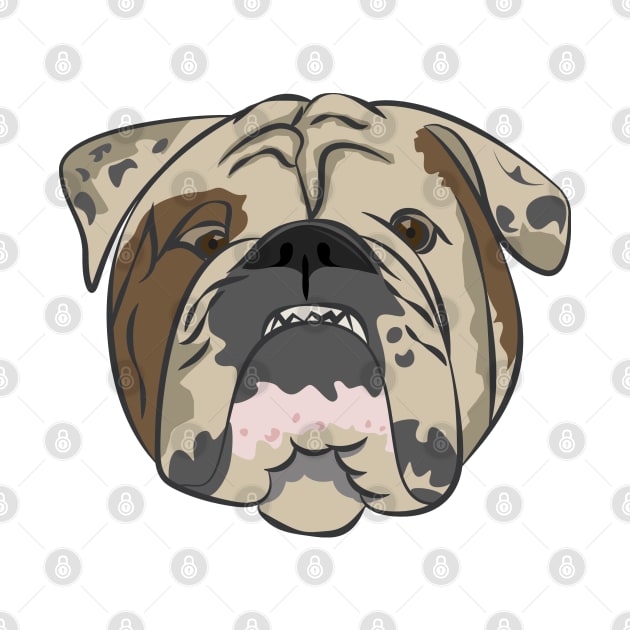 Bulldog head. by lakokakr