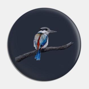 Red backed kingfisher Pin