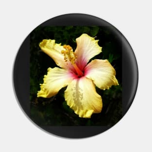 Hibiscus Pin