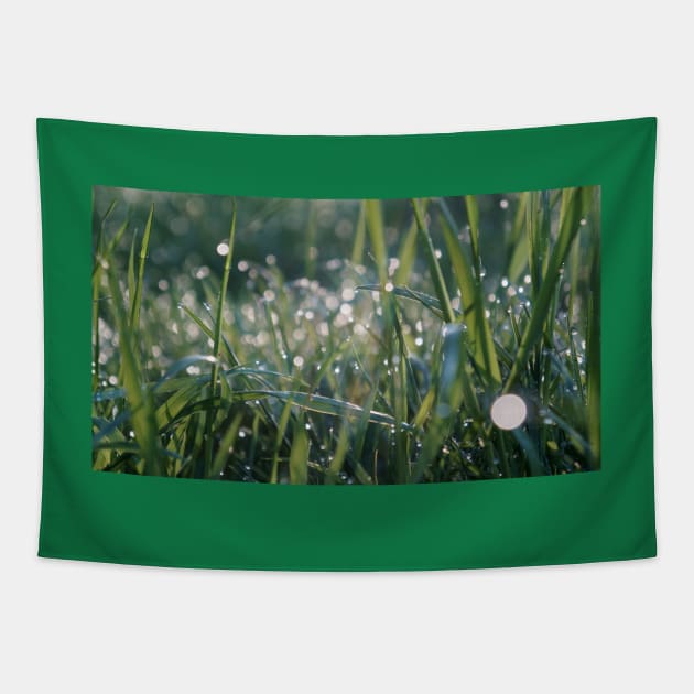 Grass Shining with Raindrops Tapestry by 1Redbublppasswo