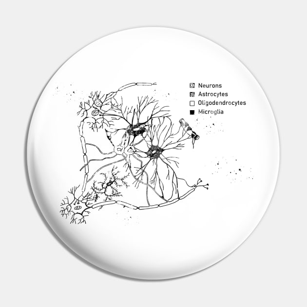 Cortical pyramidal cells Pin by erzebeth