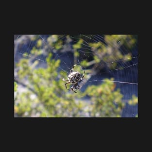 Spider in a Web T-Shirt