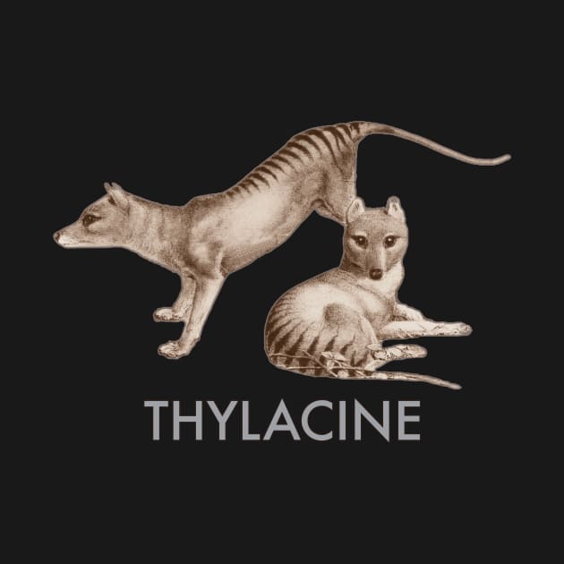 Thylacine by ArtisticEnvironments