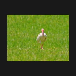 Backyard Birding T-Shirt