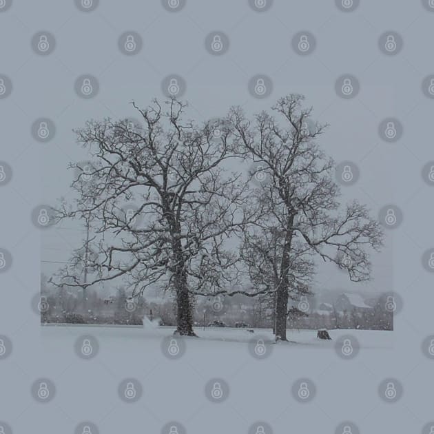 Snowy Trees by JadedAlice