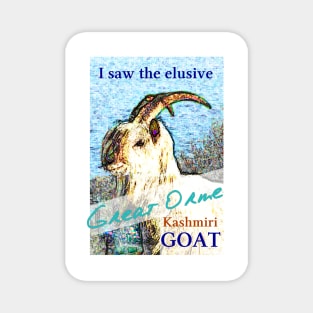 GREAT ORME KASHMIRI GOAT Magnet