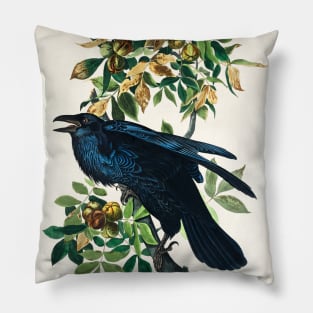 Raven from Birds of America (1827) Pillow