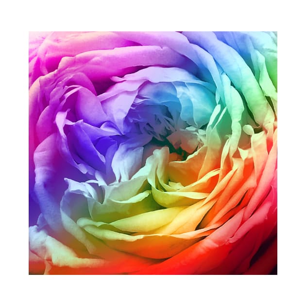 Rainbow Rose Flower Petal Pattern by Art by Deborah Camp