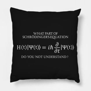 the Schrödinger Equation Pillow