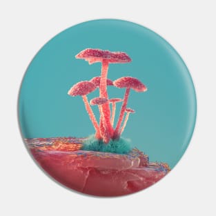 Mushrooms Pin