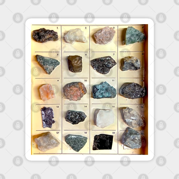 Showcase of classified rare and geological stones Magnet by Marccelus