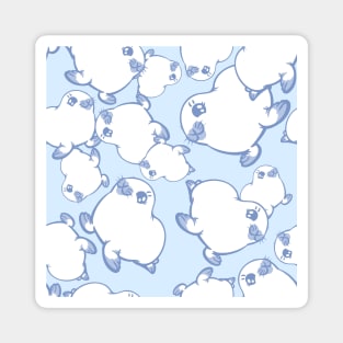 Pale Baby Seal on Ice Blue Magnet