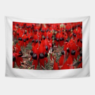 Sturt's Desert Pea Tapestry