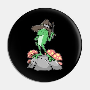 Cottagecore Aesthetic Frog Wizard Mushroom Pin