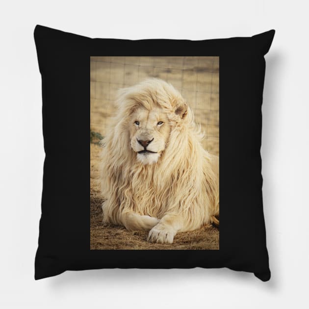 White wild Lion Pillow by djil13