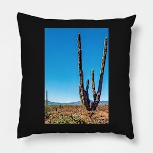 Cacti, Baja Sur, Mexico Pillow