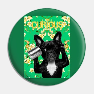 The Curious Pin