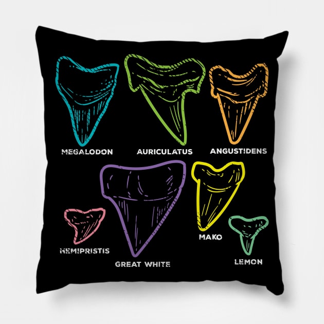 Shark Tooth types Fossil Hunting Pillow by maxcode