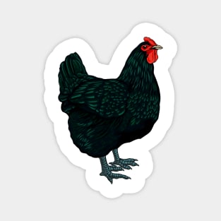 Jersey Giant Chicken Magnet