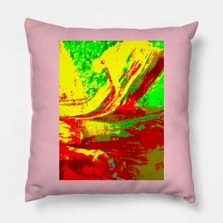 NEW BEAUTIFUL UNIQUE ABSTRACT ART Pillow