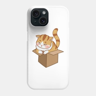 Orange cat in the box Phone Case