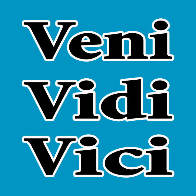 veni vidi vici by Huggy Mauve