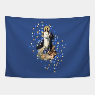 Immaculate Conception Assumption Virgin Mary Nicaragua Esteban Tapestry