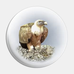 Vulture Pin