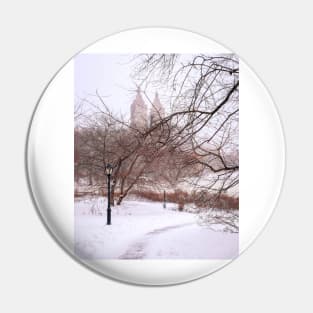 New York Winter 2 Pin