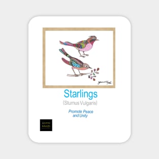 Starlings Magnet